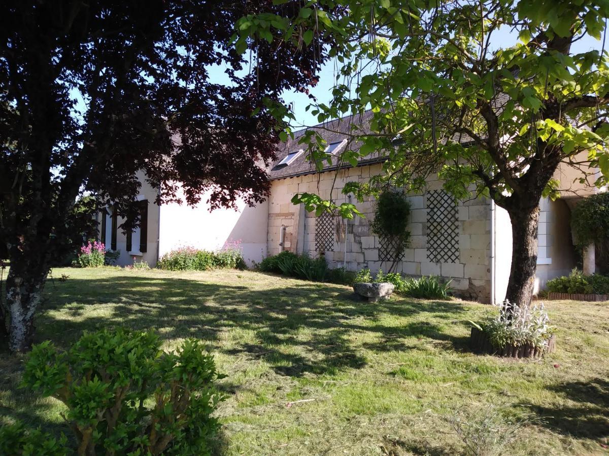 Gite Les Hautes Mougonnieres Neuil 外观 照片